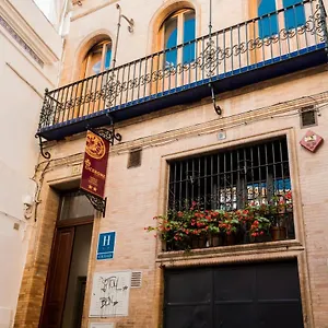 Nuea Cicerone Seville